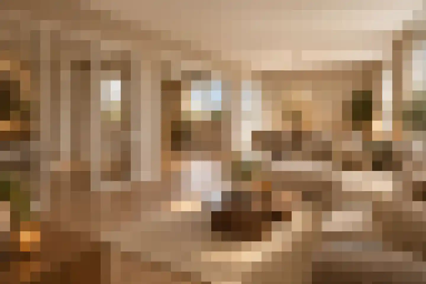 Spechtlaan 377 Leidschendam thumbnail 4