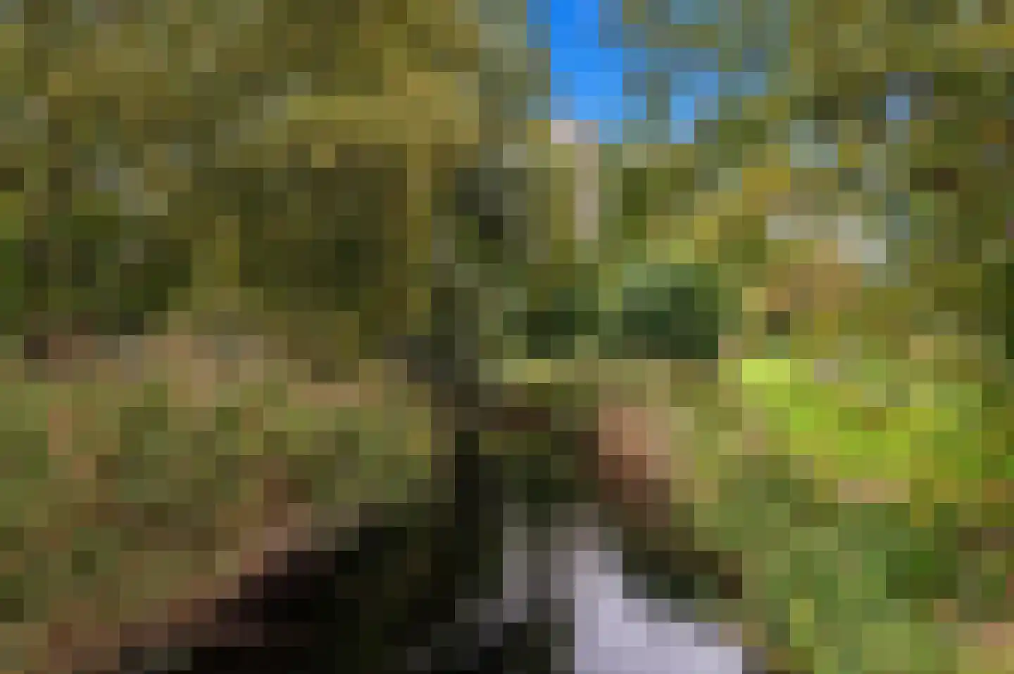 Spechtlaan 377 Leidschendam thumbnail 41