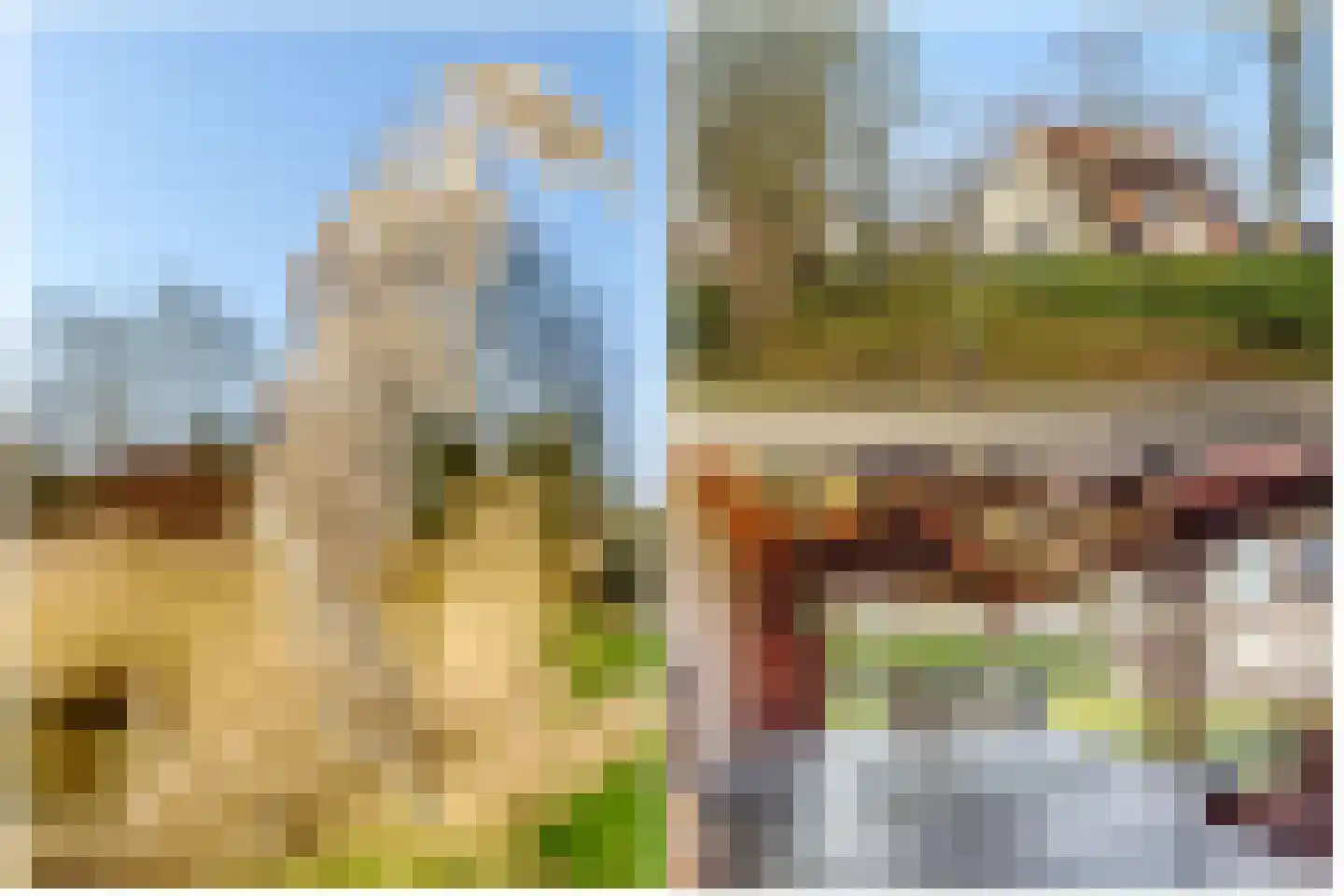 Spechtlaan 4 Almere thumbnail 41