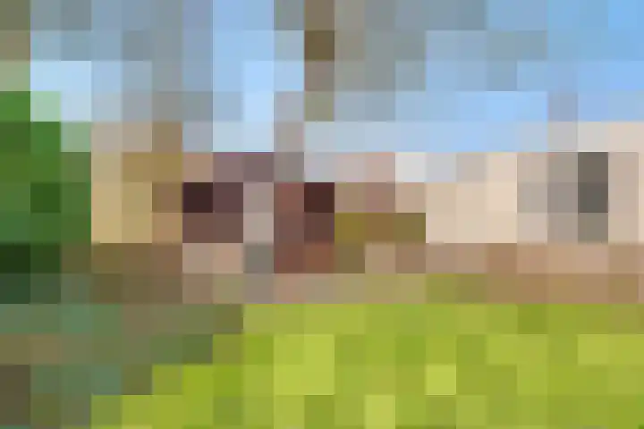 Spechtlaan 4 Almere thumbnail 42