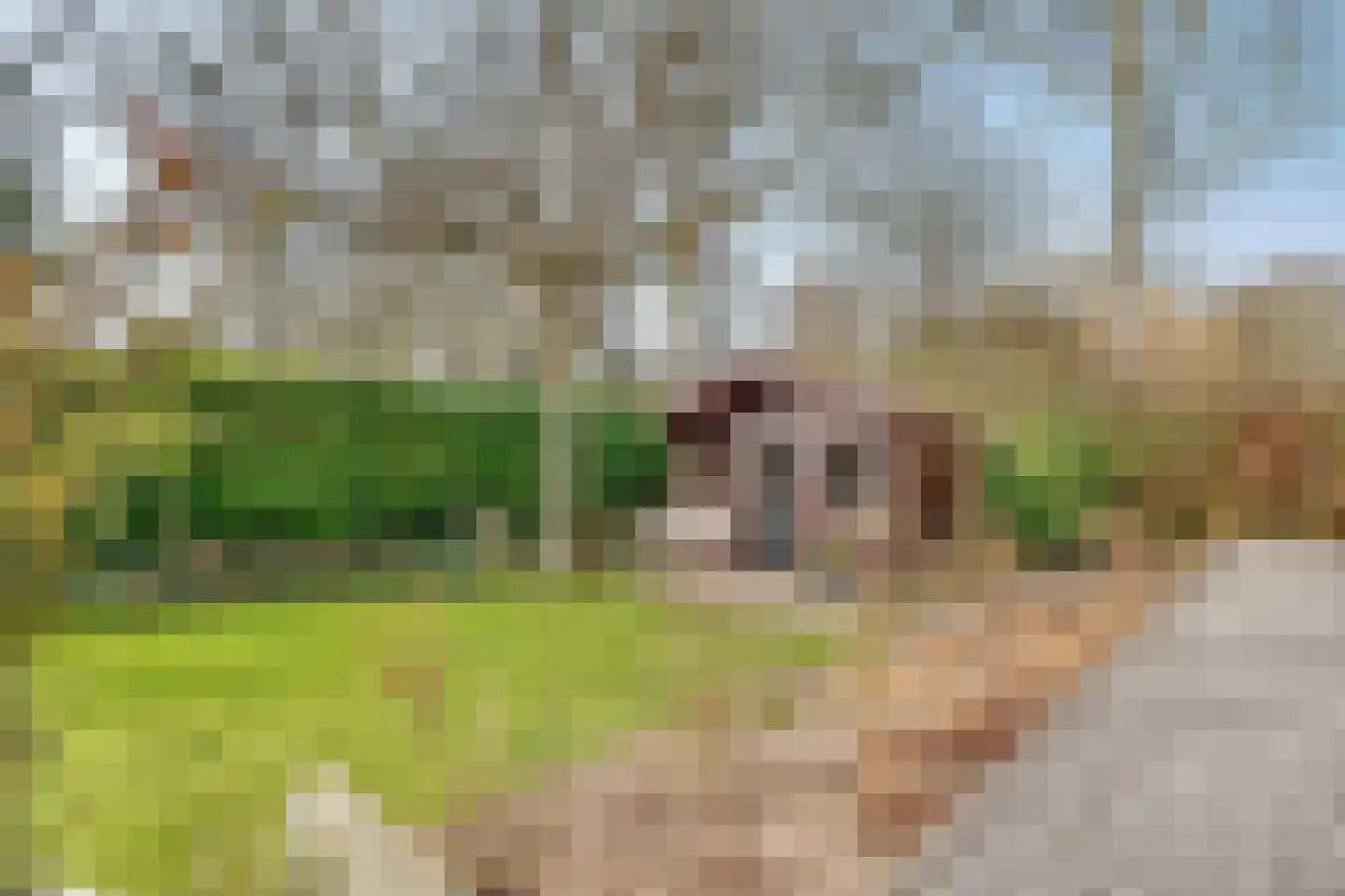 Spechtlaan 4 Almere thumbnail 42
