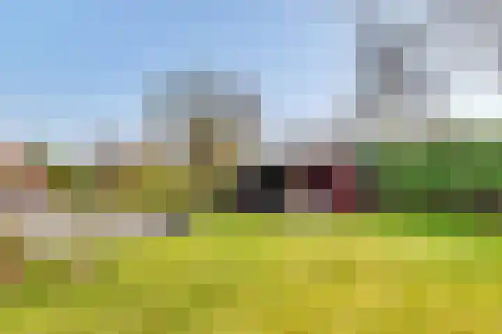 Spechtlaan 4 Almere thumbnail 43