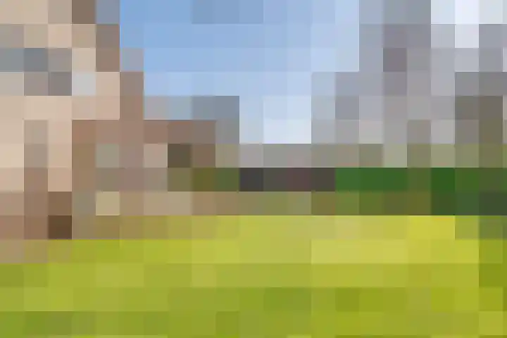 Spechtlaan 4 Almere thumbnail 44