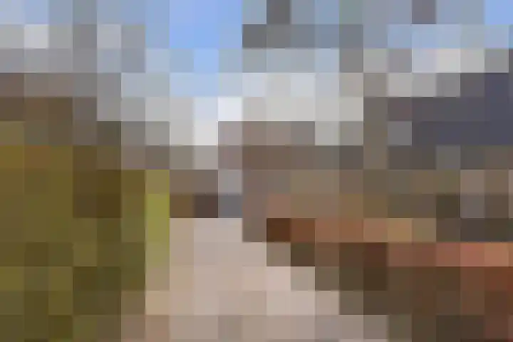 Spechtlaan 4 Almere thumbnail 45