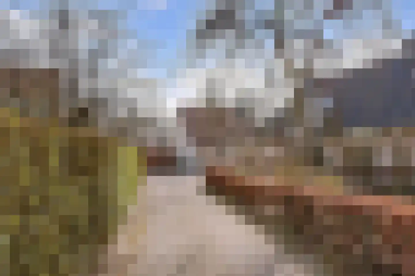 Spechtlaan 4 Almere thumbnail 46