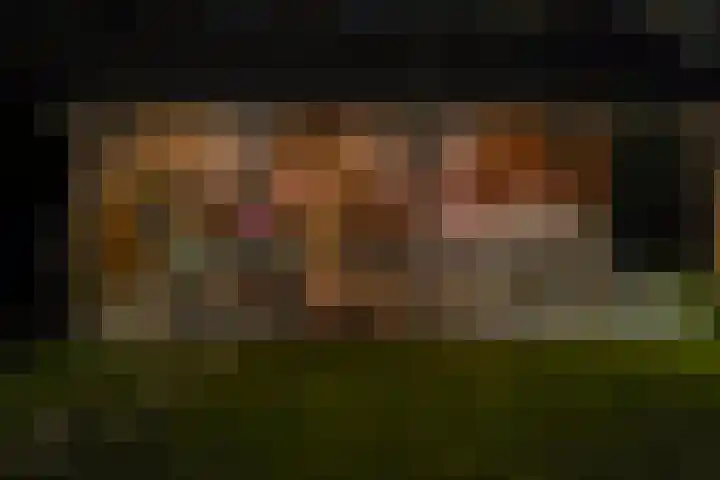 Spechtlaan 4 Almere thumbnail 57