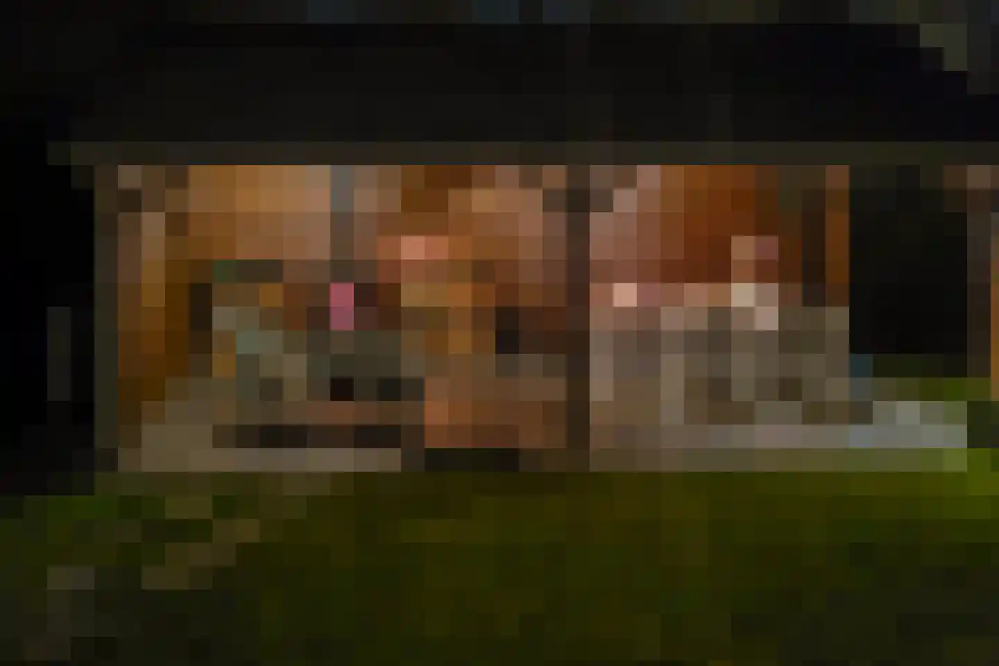 Spechtlaan 4 Almere thumbnail 58