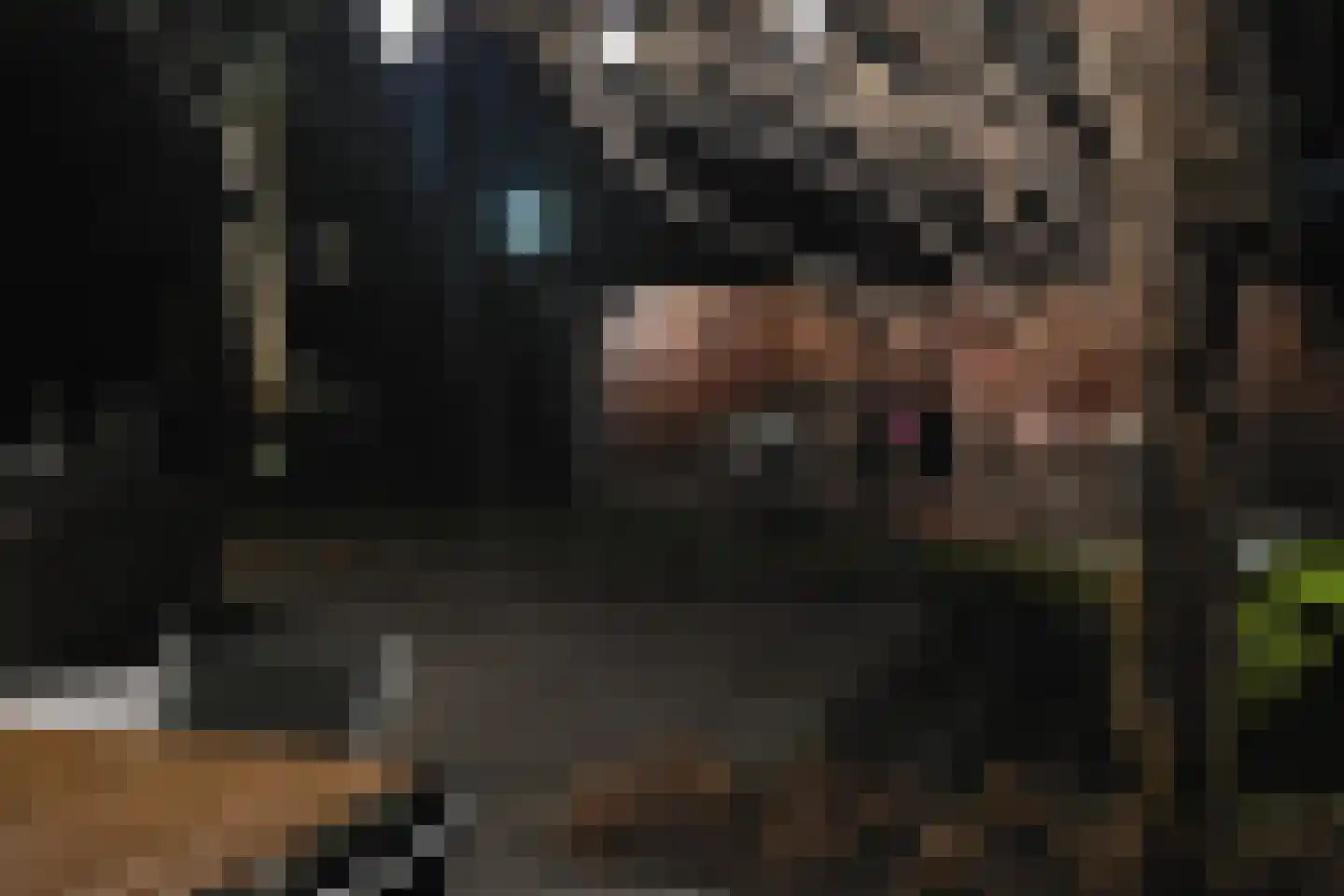 Spechtlaan 4 Almere thumbnail 59