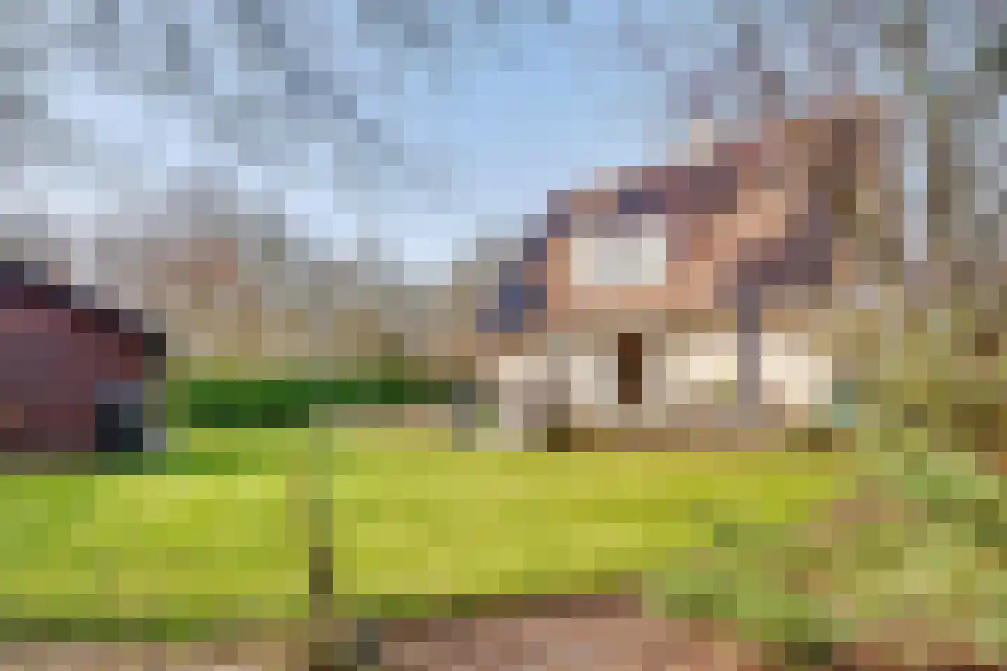 Spechtlaan 4 Almere thumbnail 61