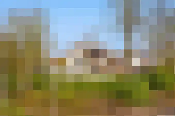 Spechtlaan 4 Almere thumbnail 66