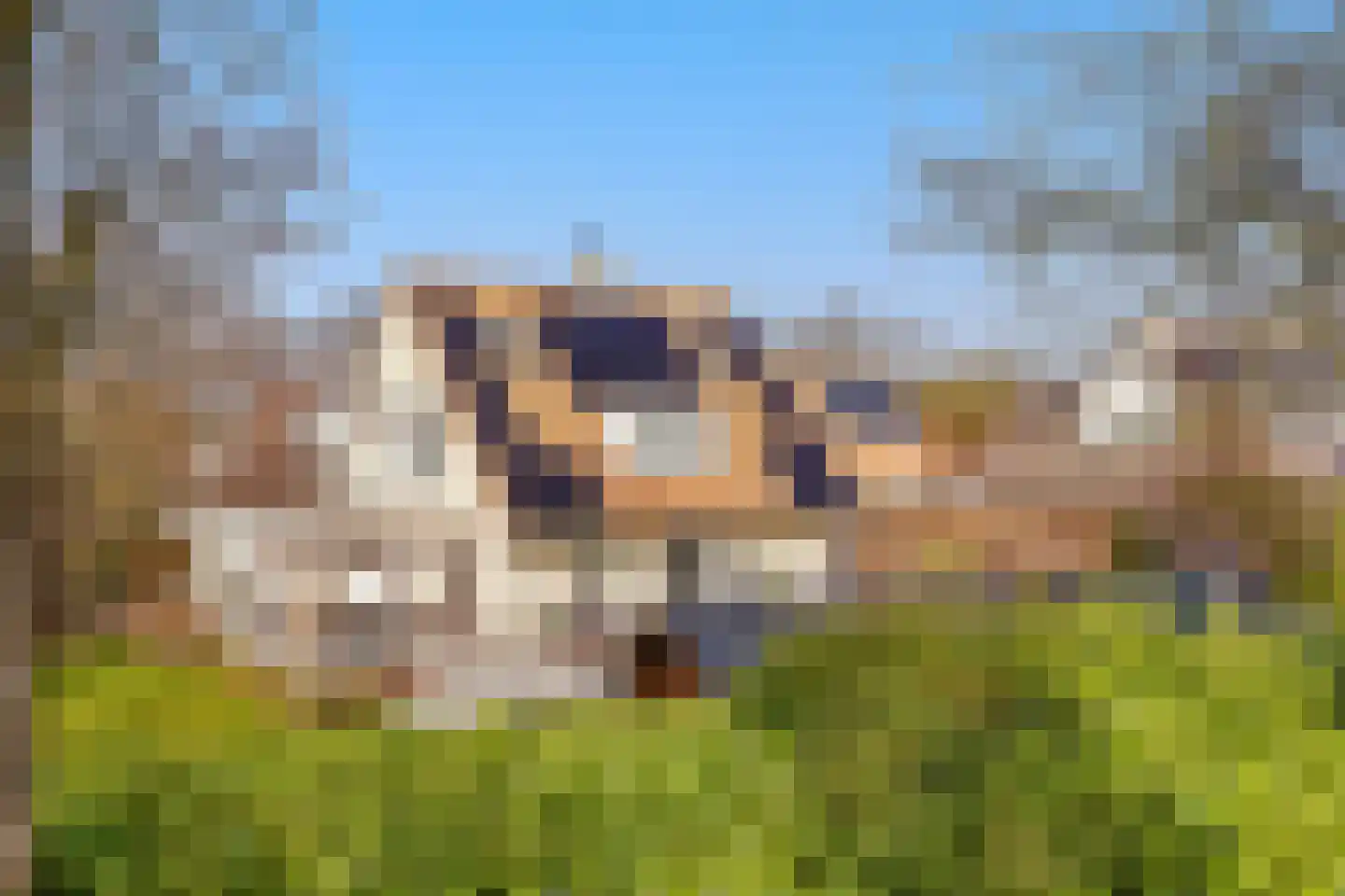 Spechtlaan 4 Almere thumbnail 67