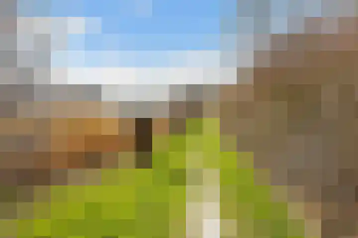 Spechtlaan 4 Almere thumbnail 70