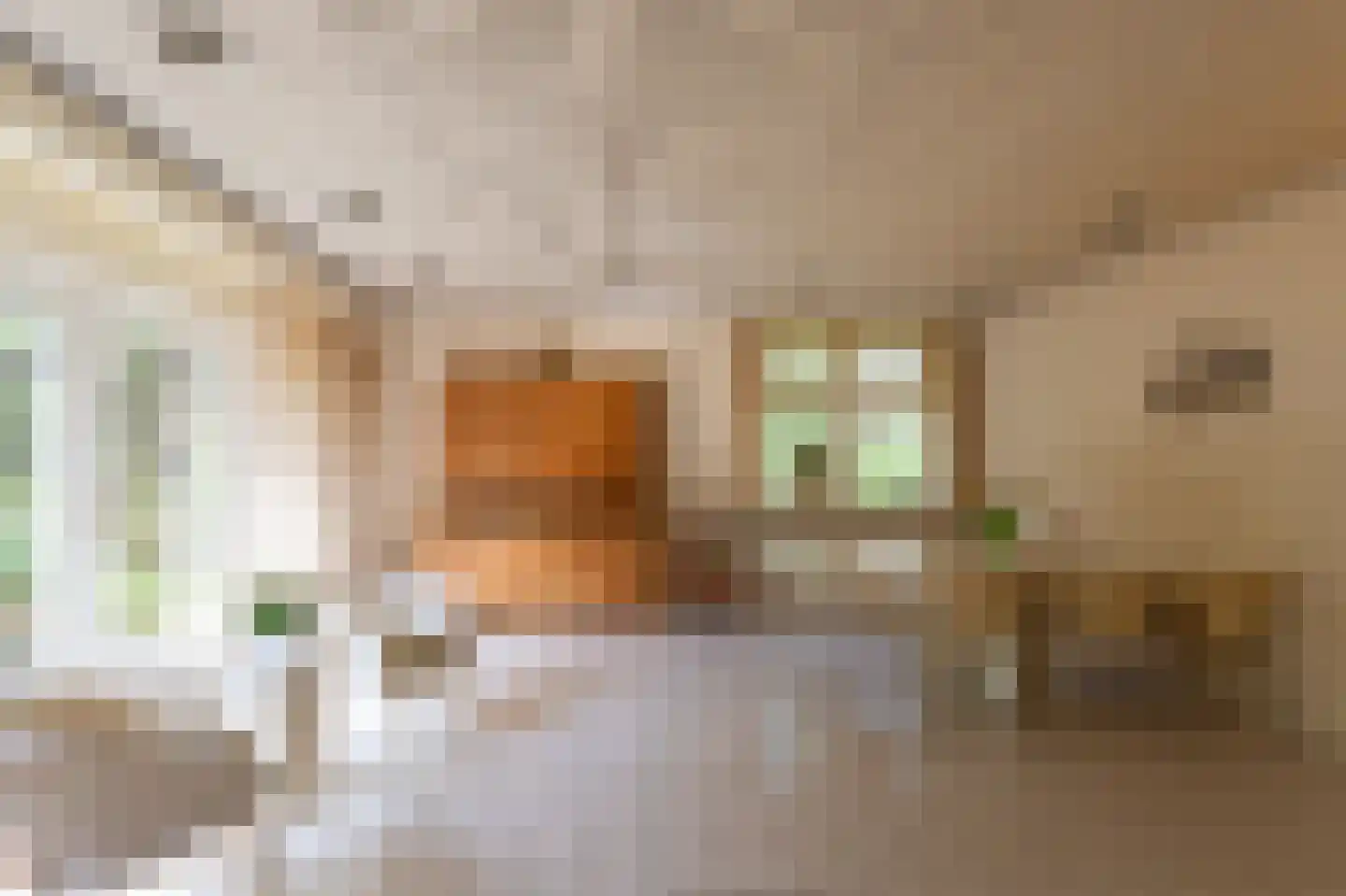 Spechtlaan 4 Lieshout thumbnail 17