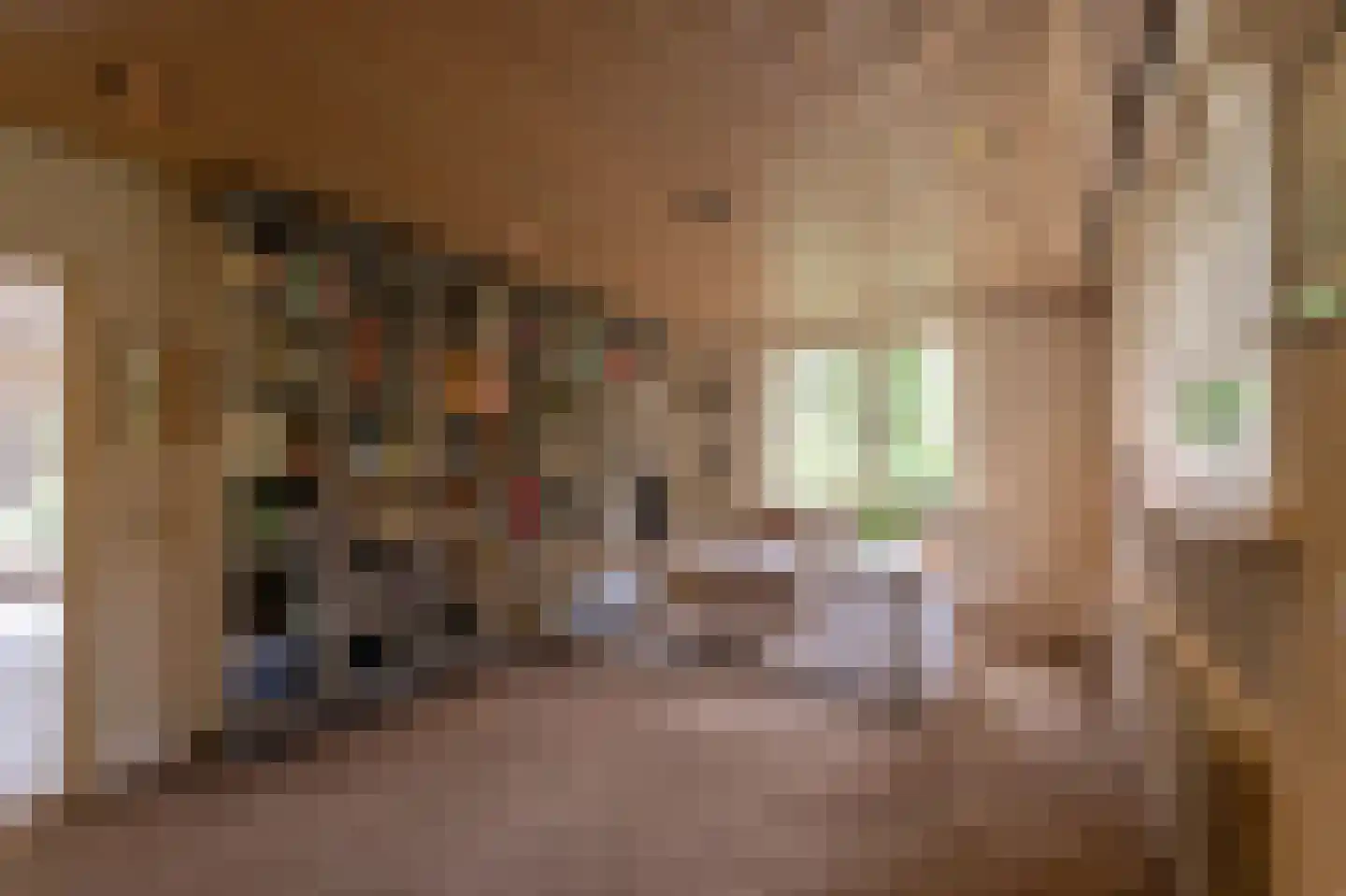 Spechtlaan 4 Lieshout thumbnail 19