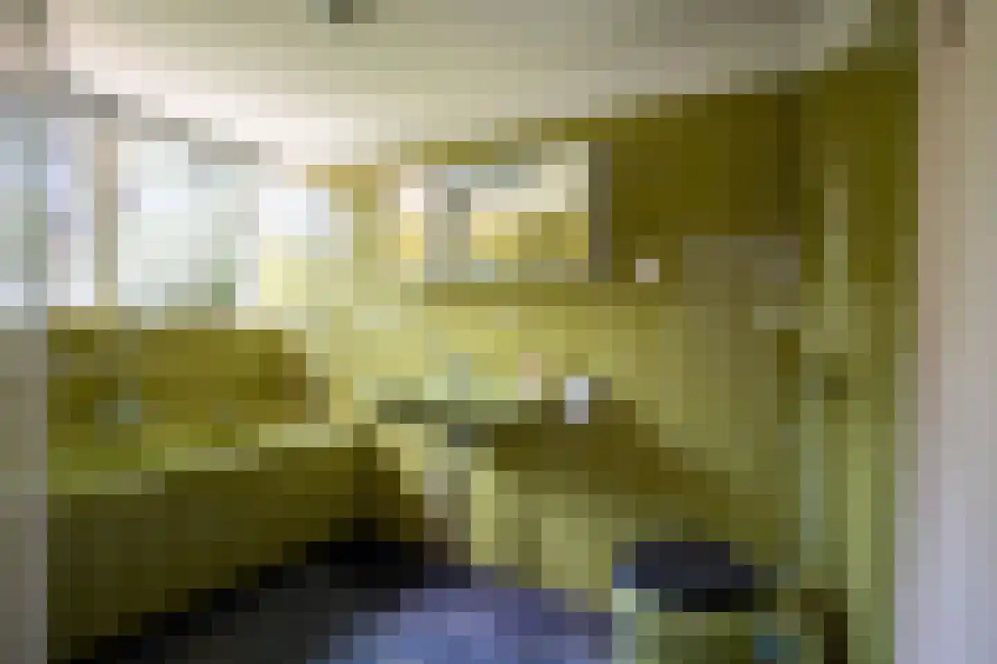 Spechtlaan 4 Lieshout thumbnail 34