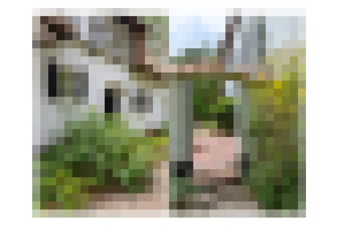 Spechtlaan 4 Lieshout thumbnail 35