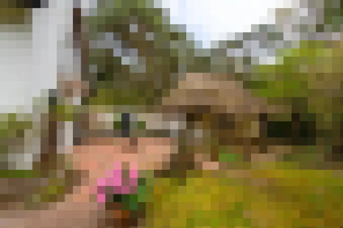 Spechtlaan 4 Lieshout thumbnail 37