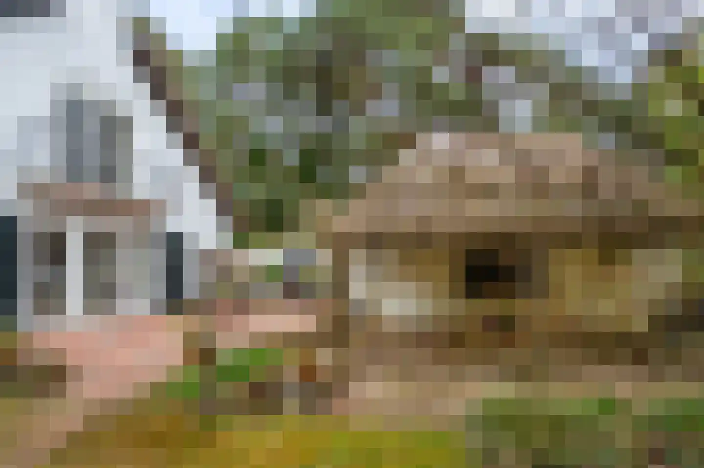 Spechtlaan 4 Lieshout thumbnail 38