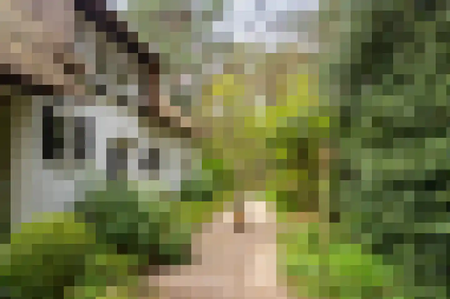 Spechtlaan 4 Lieshout thumbnail 4