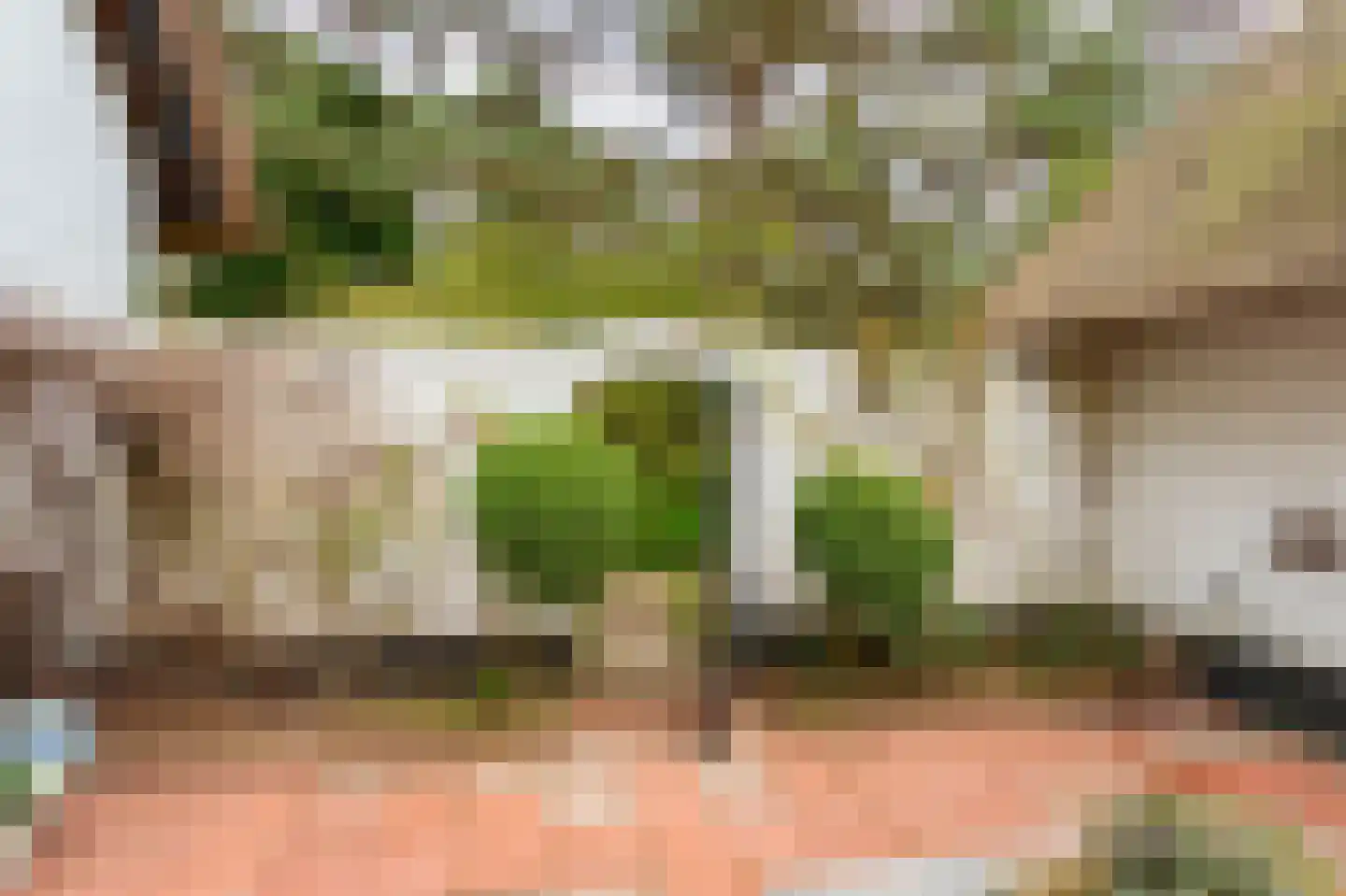 Spechtlaan 4 Lieshout thumbnail 41