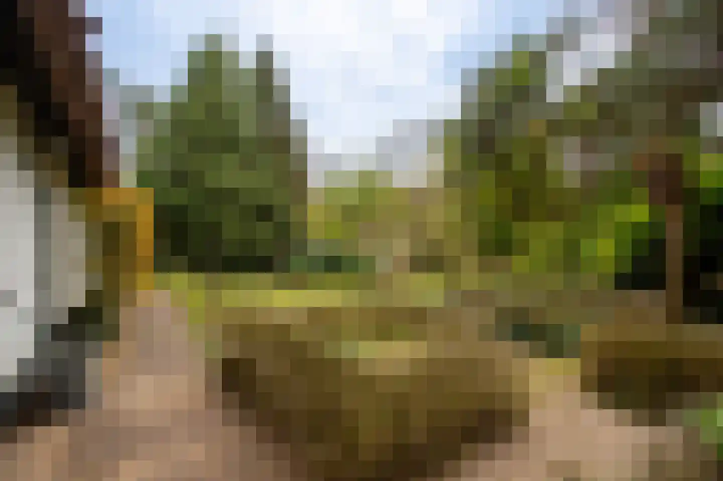 Spechtlaan 4 Lieshout thumbnail 42