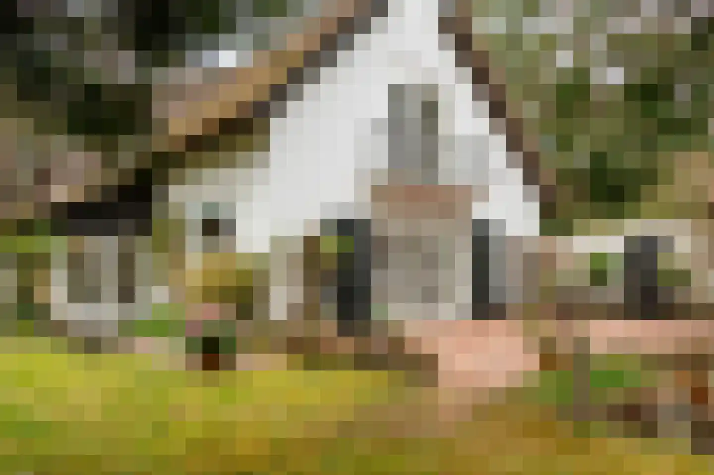 Spechtlaan 4 Lieshout thumbnail 43
