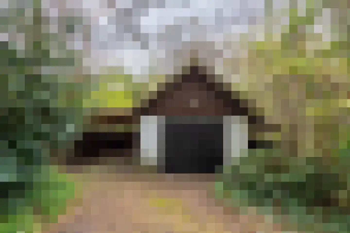 Spechtlaan 4 Lieshout thumbnail 44