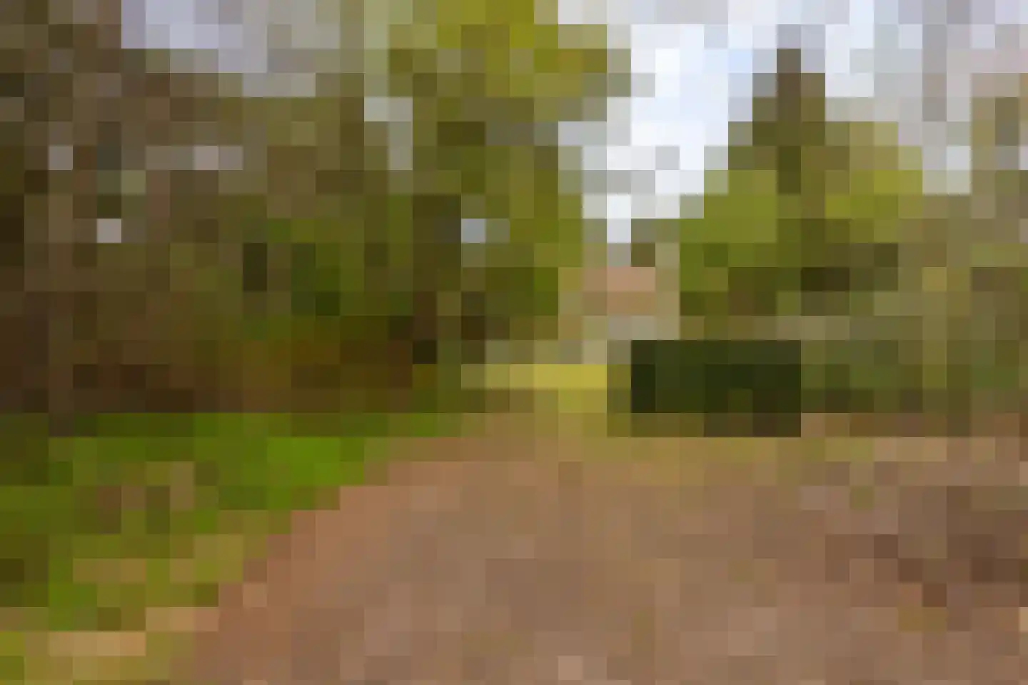 Spechtlaan 4 Lieshout thumbnail 45