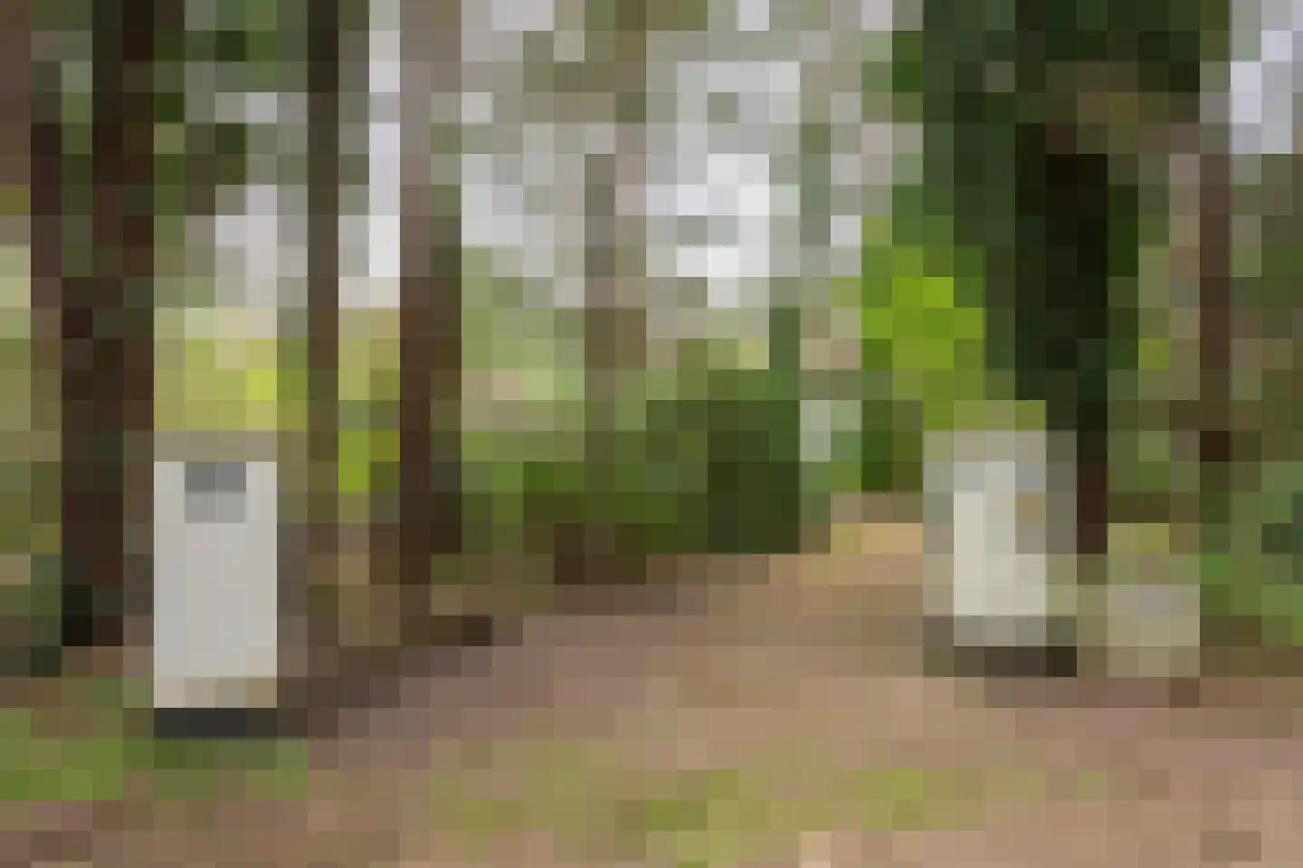 Spechtlaan 4 Lieshout thumbnail 47