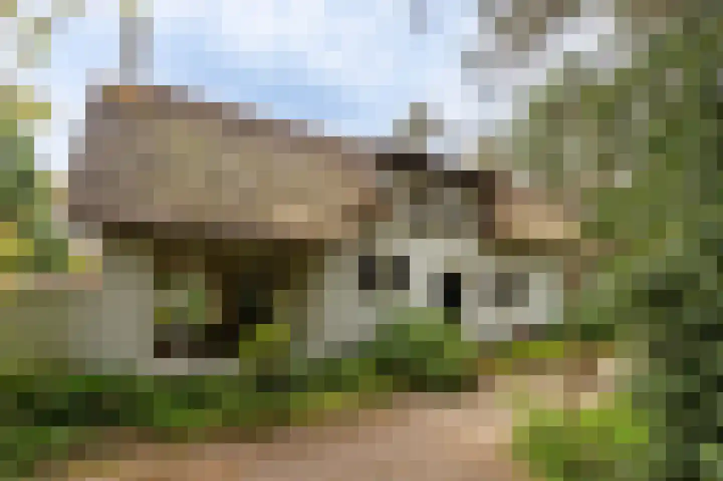 Spechtlaan 4 Lieshout thumbnail 48