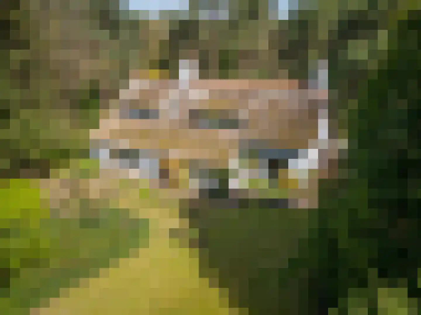 Spechtlaan 4 Lieshout thumbnail 50