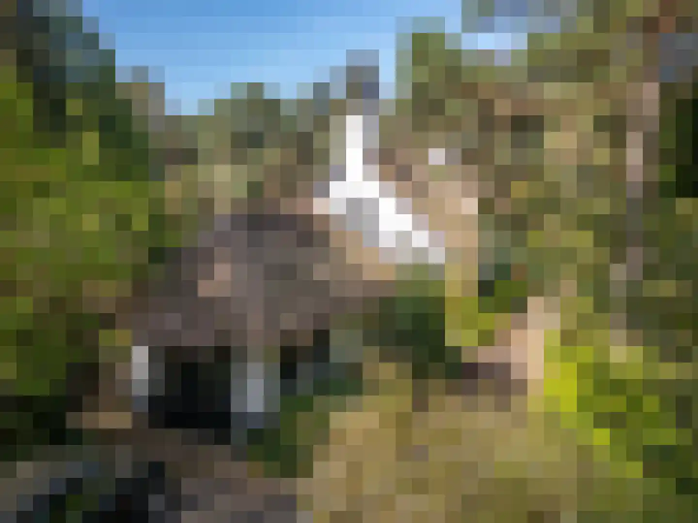 Spechtlaan 4 Lieshout thumbnail 53