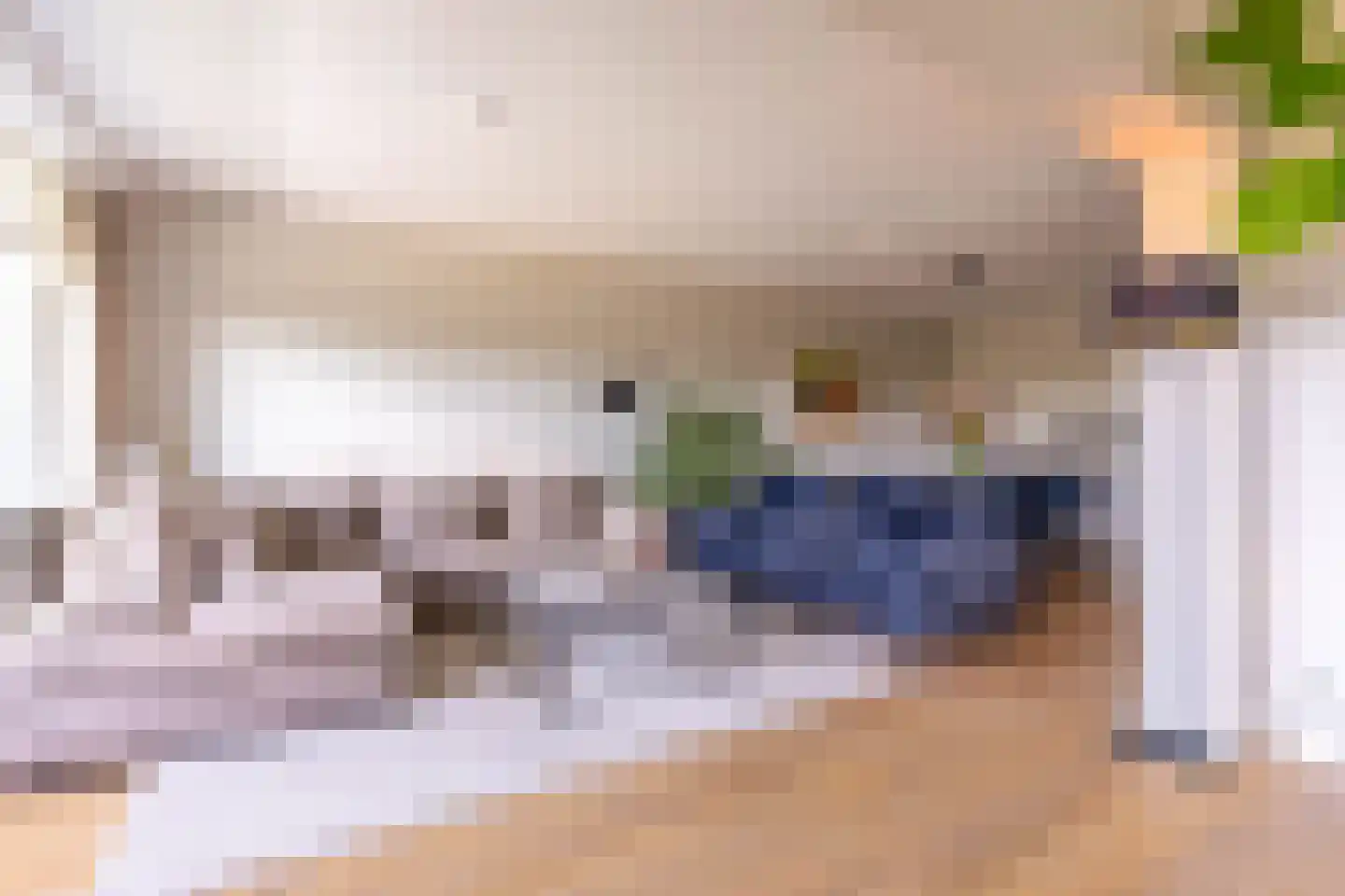 Spechtlaan 79 Leidschendam thumbnail 12