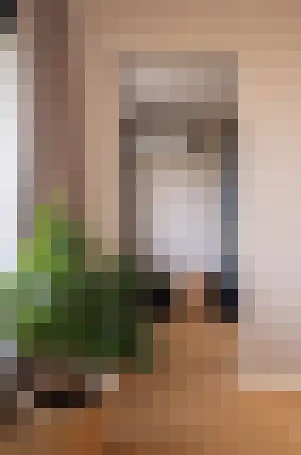Spechtlaan 79 Leidschendam thumbnail 30