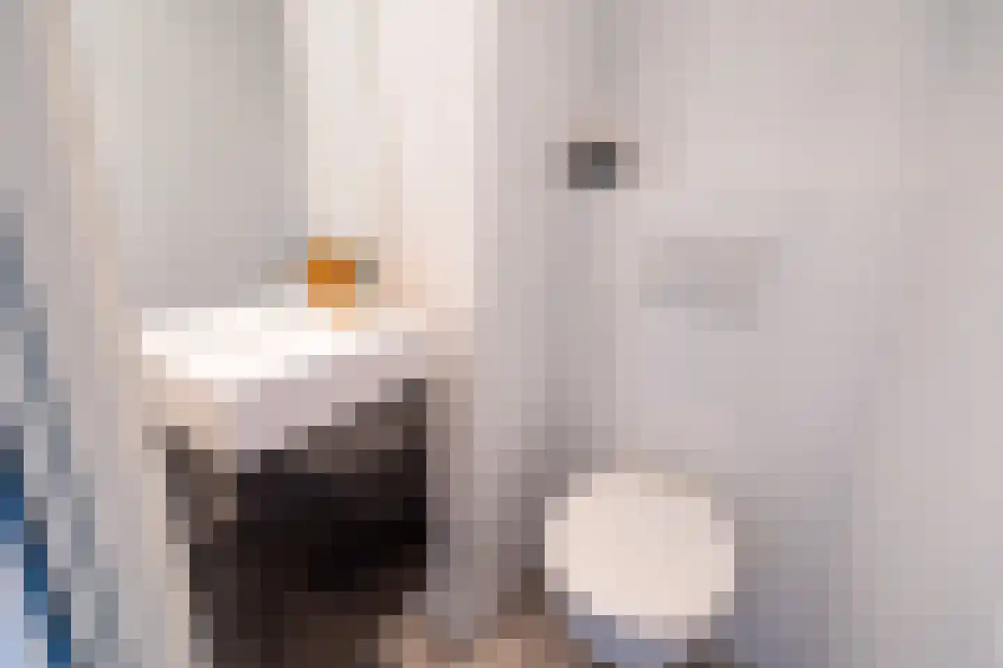 Spechtlaan 79 Leidschendam thumbnail 37