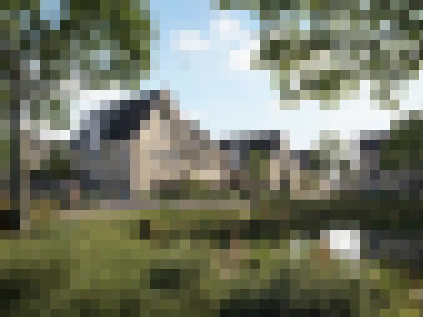 Spechtlaan 8 Oostvoorne