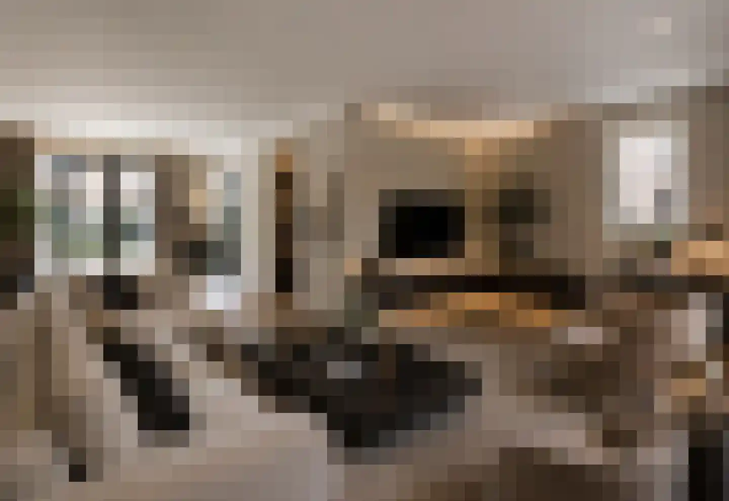 Spechtlaan 8 Oostvoorne thumbnail 21