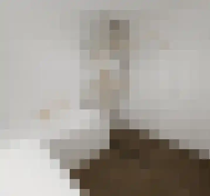 Spechtlaan 8 Oostvoorne thumbnail 5
