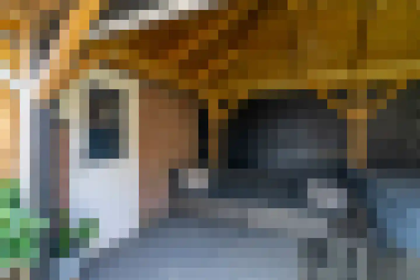 Spechtlaan 9 Maartensdijk thumbnail 13