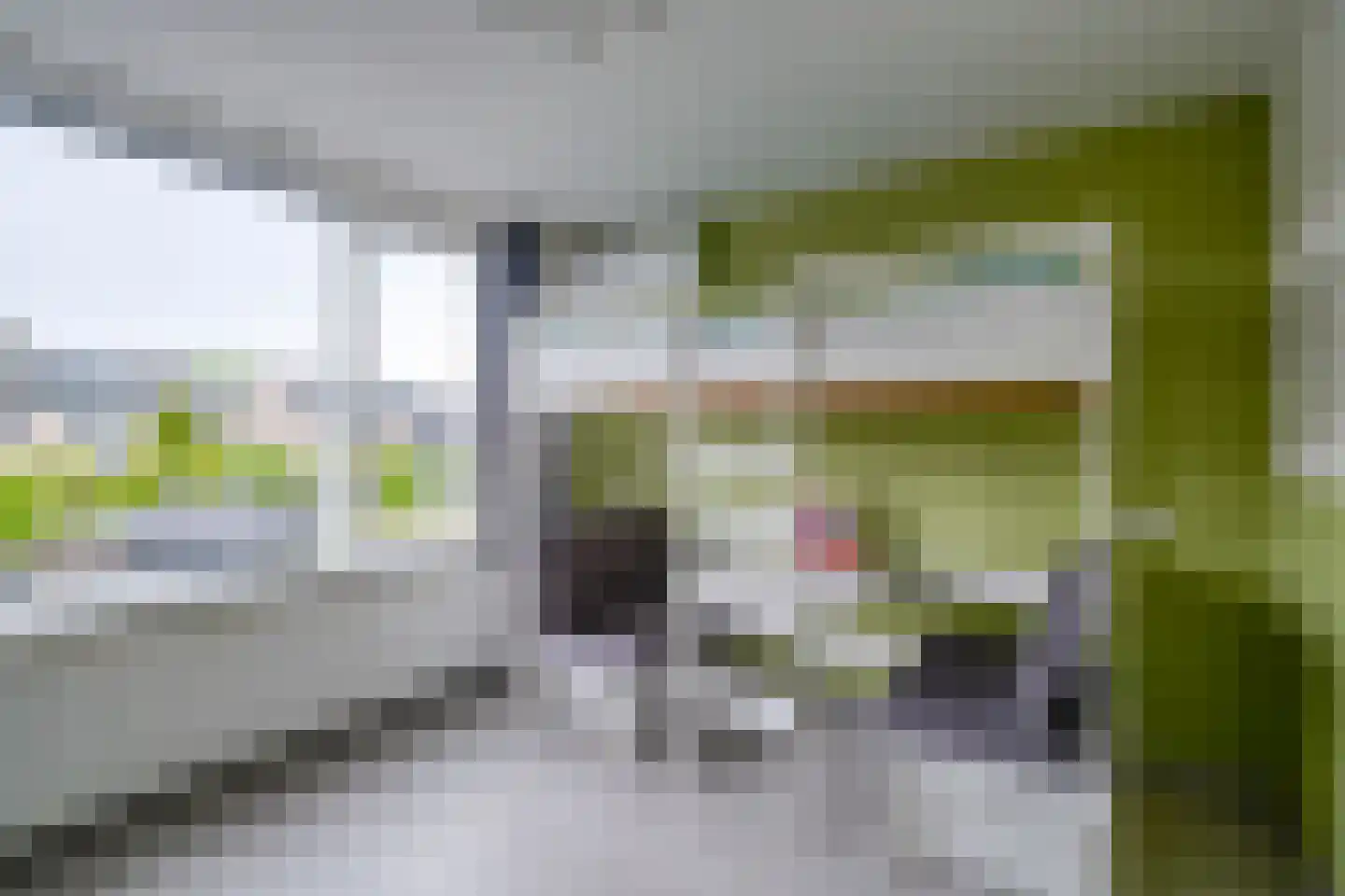 Spechtlaan 9 Maartensdijk thumbnail 18
