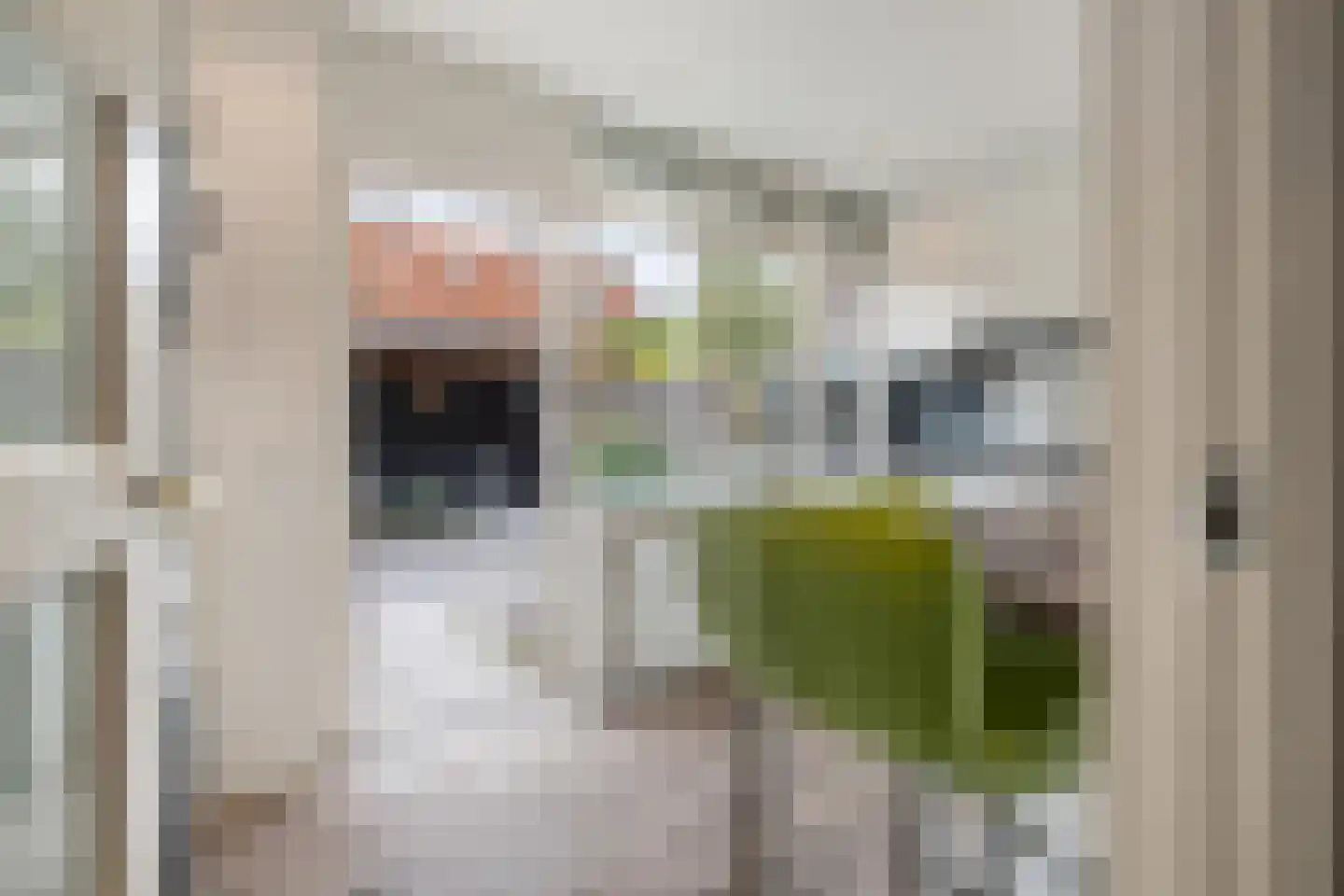Spechtstraat 10 Breda thumbnail 21