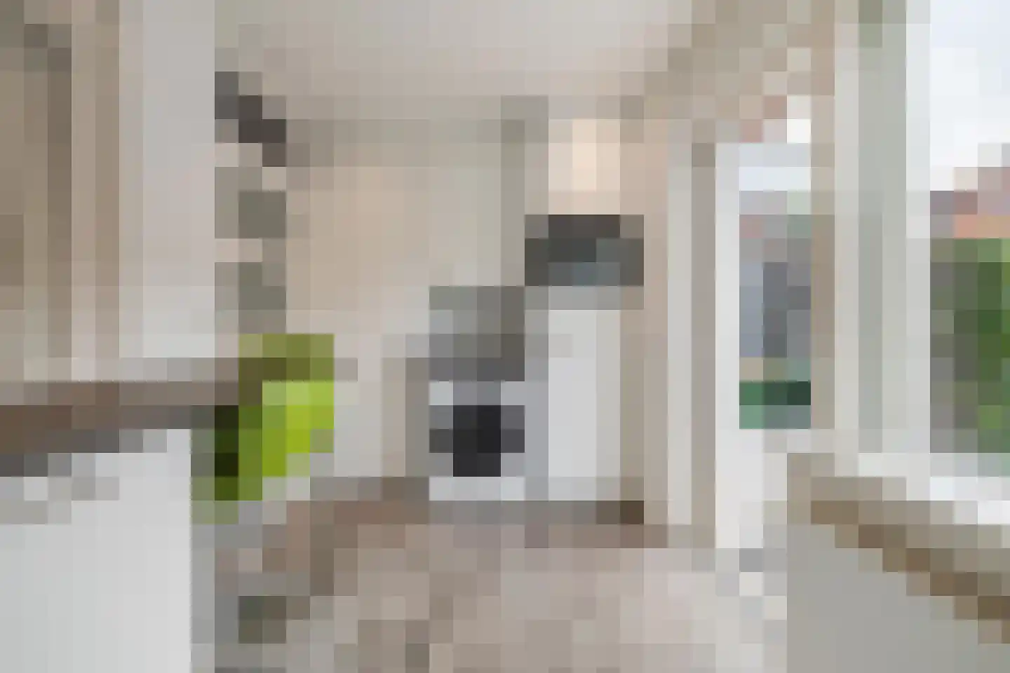 Spechtstraat 10 Breda thumbnail 23