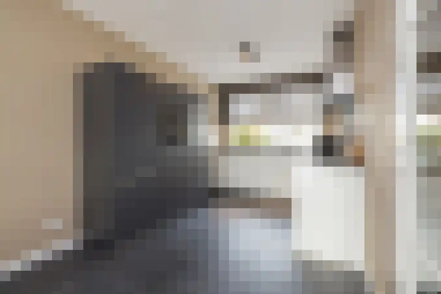 Spechtstraat 11 Lisse thumbnail 10