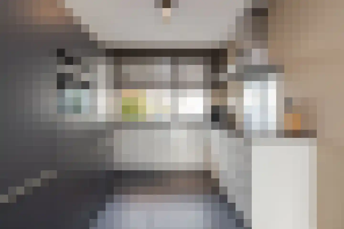 Spechtstraat 11 Lisse thumbnail 11