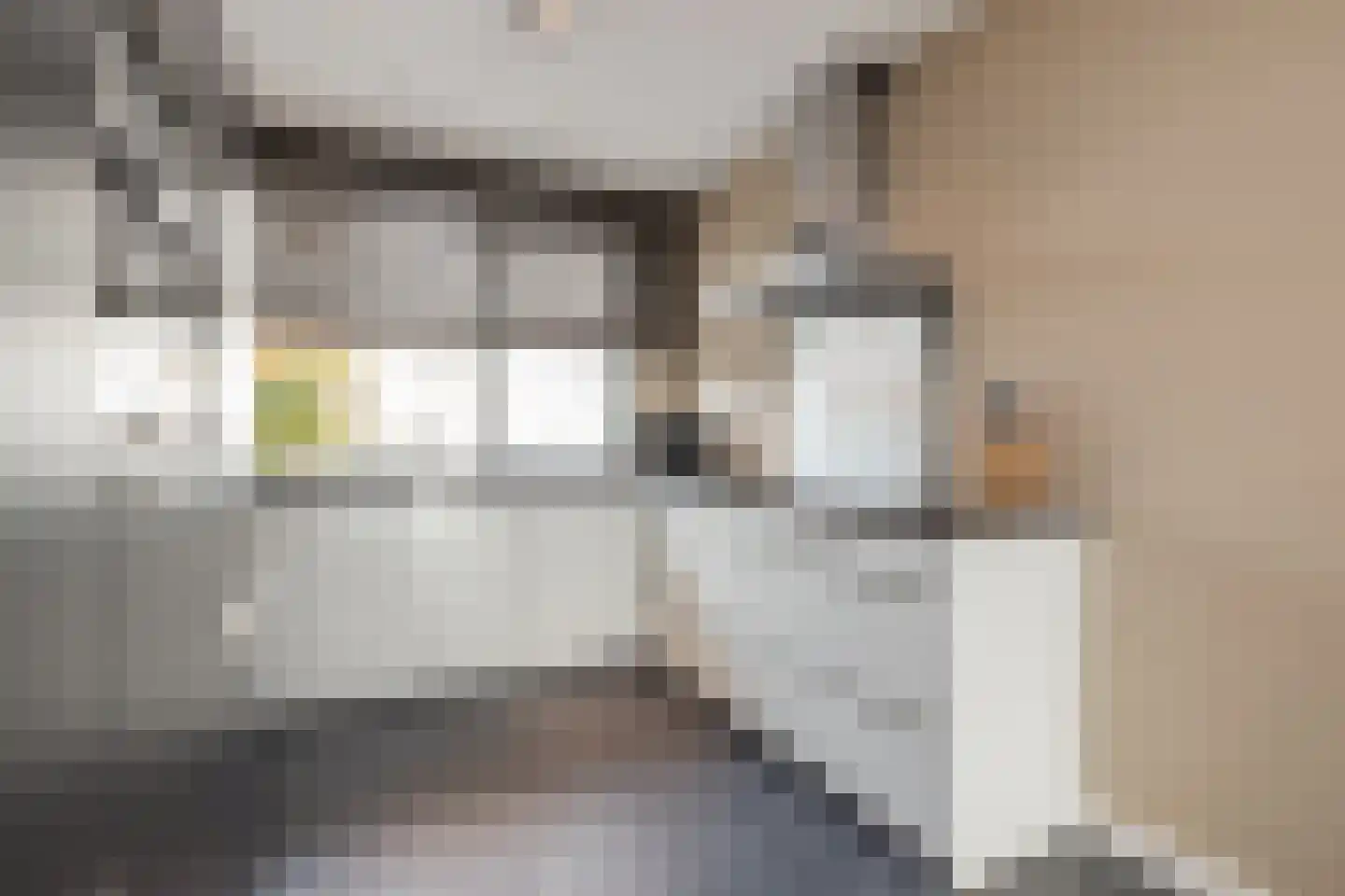 Spechtstraat 11 Lisse thumbnail 12