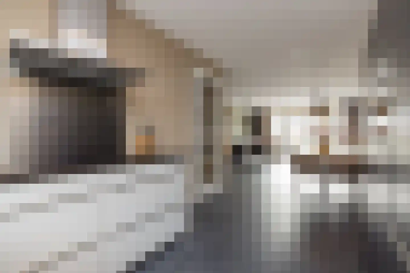 Spechtstraat 11 Lisse thumbnail 13