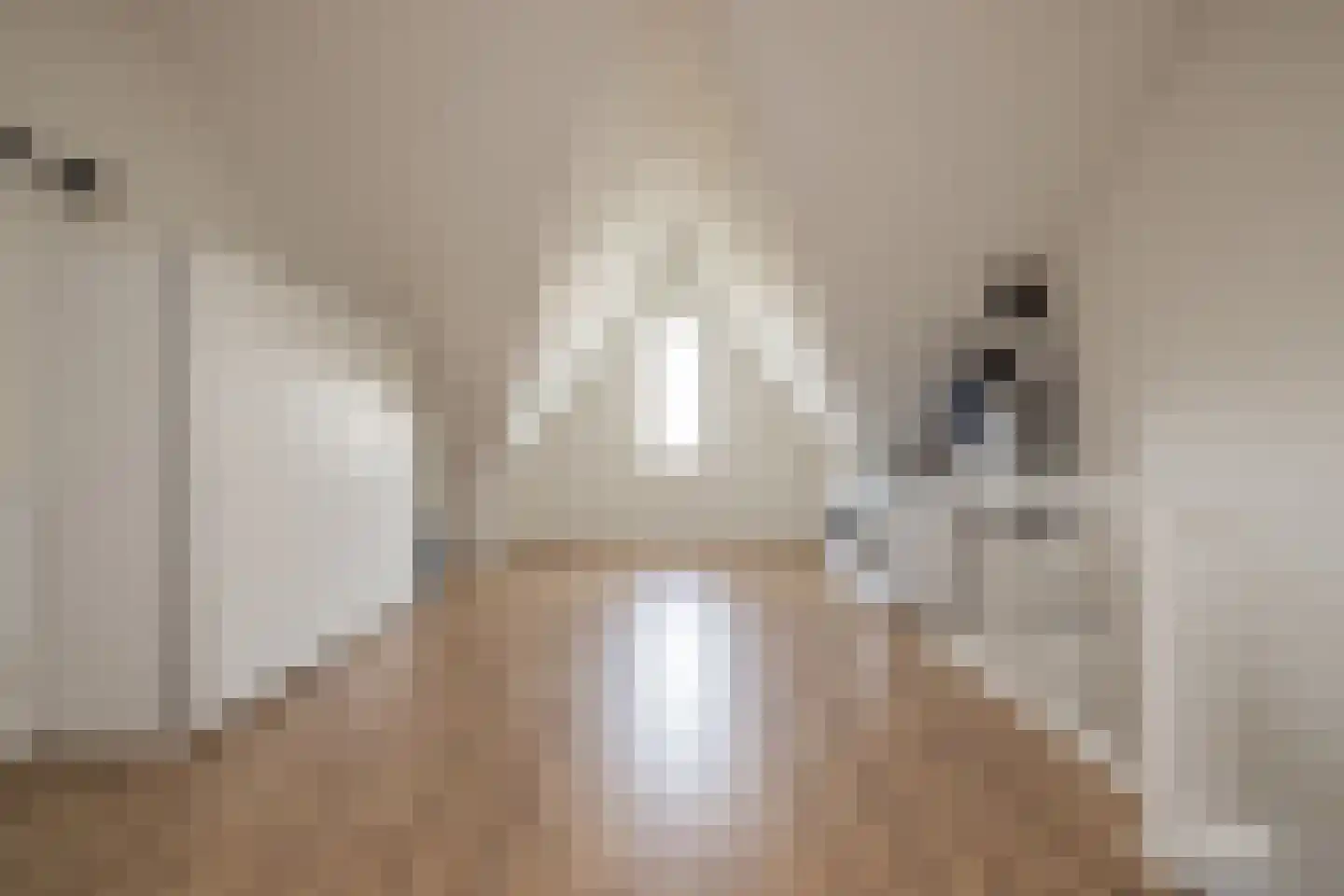 Spechtstraat 11 Lisse thumbnail 37