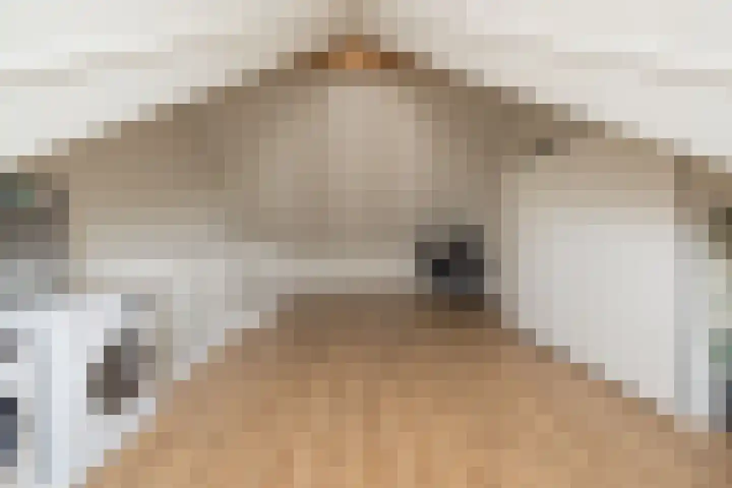 Spechtstraat 11 Lisse thumbnail 39