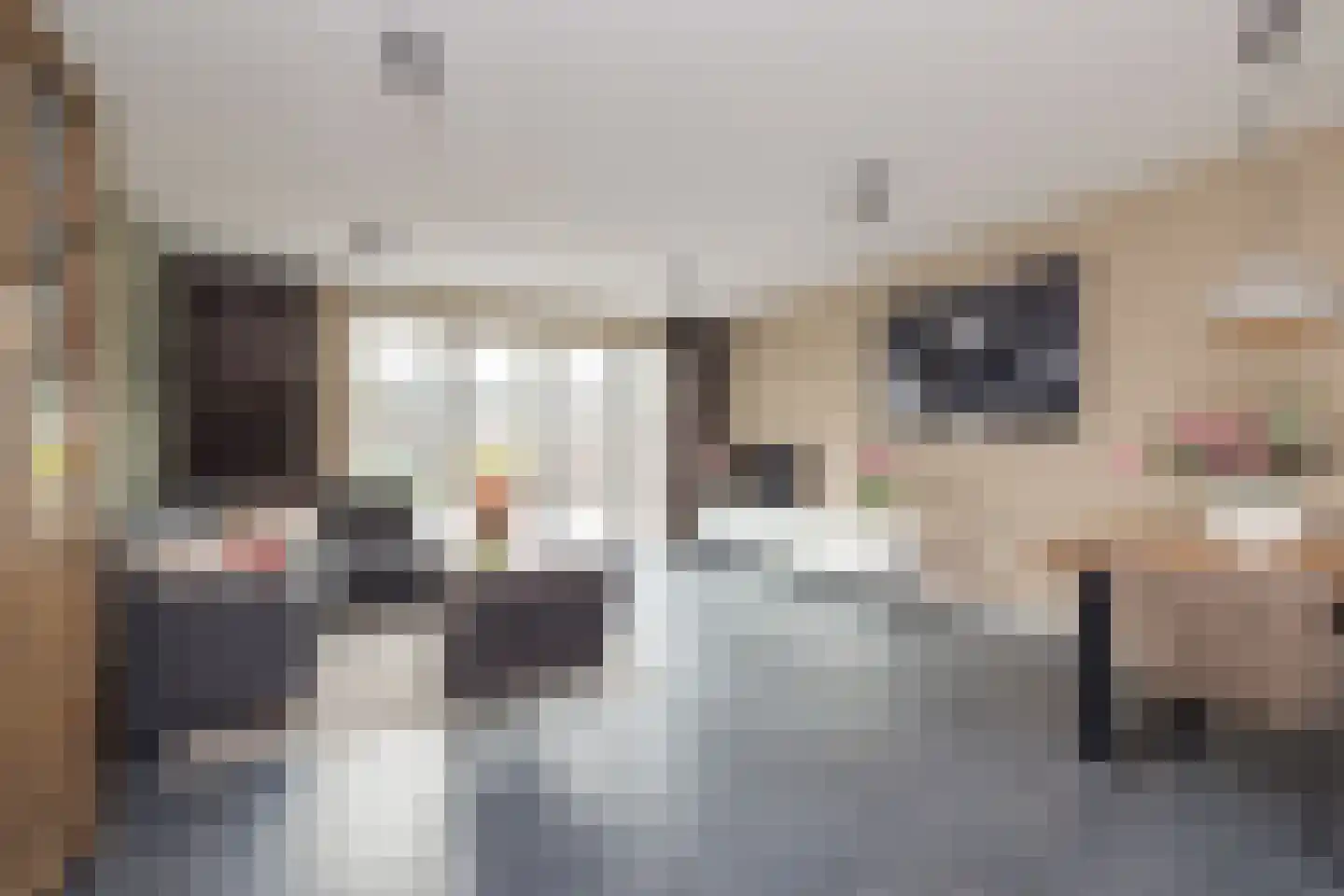Spechtstraat 11 Lisse thumbnail 4
