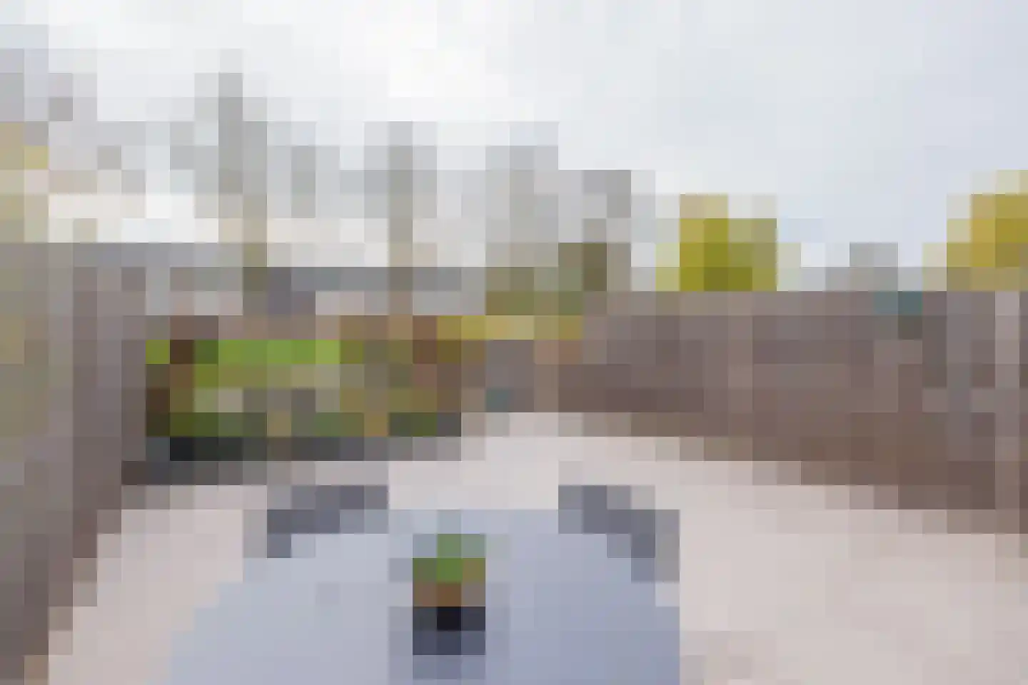 Spechtstraat 11 Lisse thumbnail 44